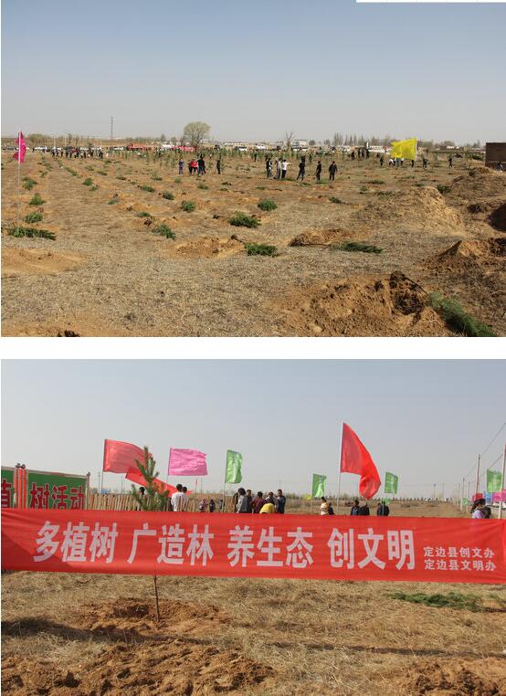QQ截图20180531210748.jpg